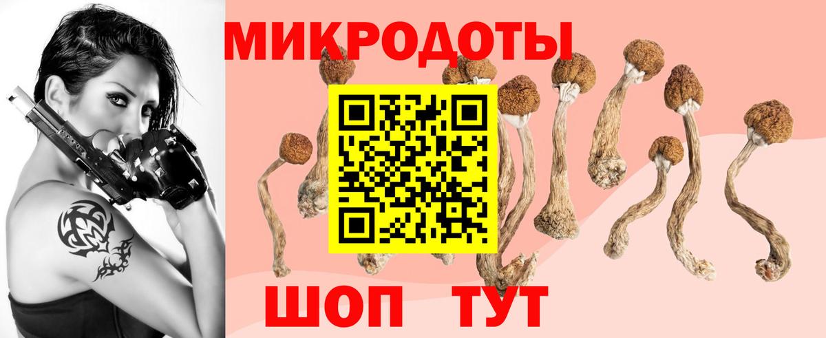 Борисоглебск  Псилоцибиновые грибы мухоморы  Вход с VPN 
