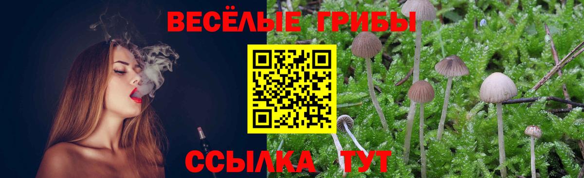 Псилоцибиновые грибы Psilocybe Борисоглебск