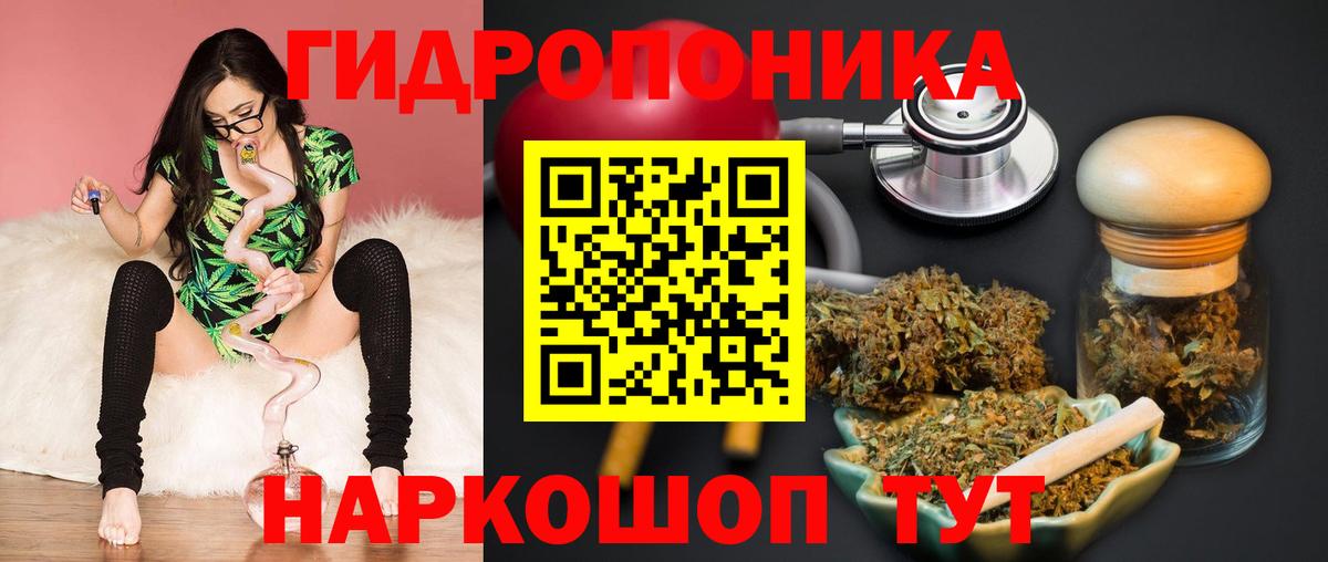 Бошки Шишки план Борисоглебск